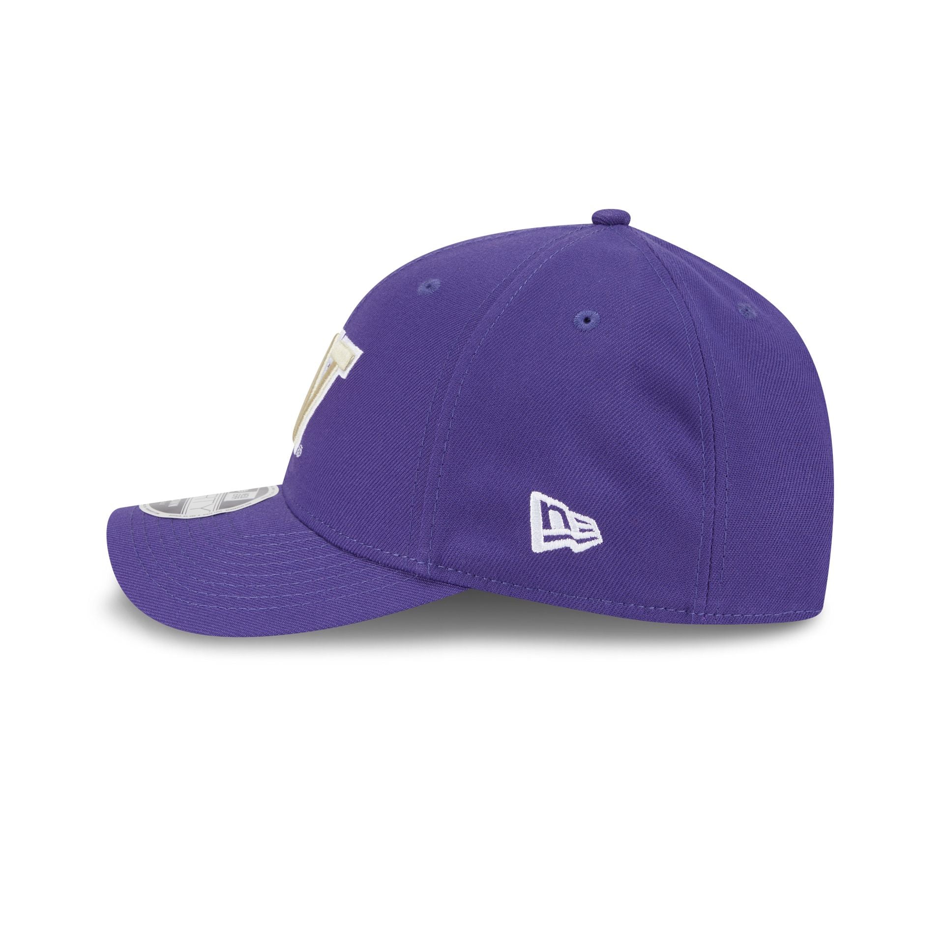 Washington Huskies Team 9FORTY M-Crown Snapback Hat