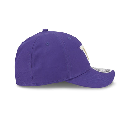 Washington Huskies Team 9FORTY M-Crown Snapback Hat